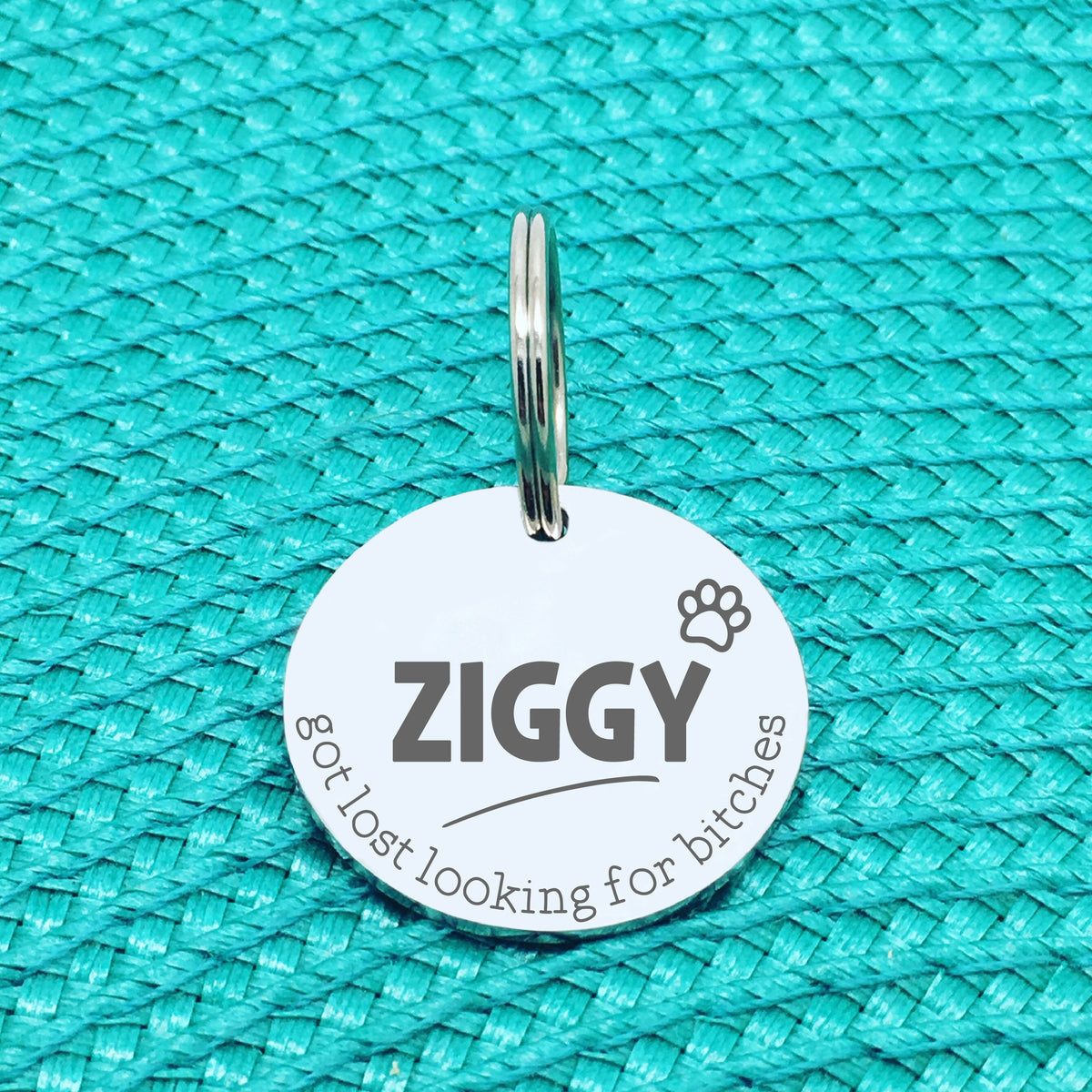 Personalised Pet Tag, 'Ziggy' Got Lost Looking For Bitches Design (Personalised Custom Engraved Dog Tag)