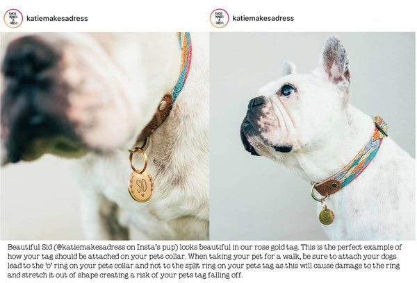 Custom Engraved Double Sided Pet Name Tag (Personalised ID tag) - 'Winnie' I'm lost please call my people design