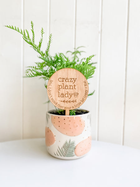 Crazy Plant Lady, Personalised Planter Sign (Personalised Plant Lover Gift)