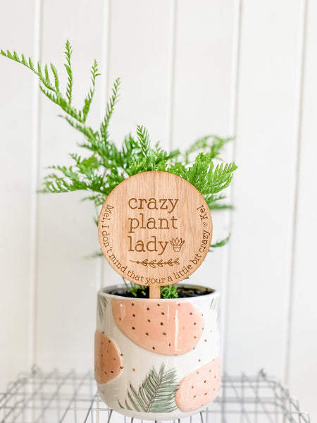 Crazy Plant Lady, Personalised Planter Sign (Personalised Plant Lover Gift)
