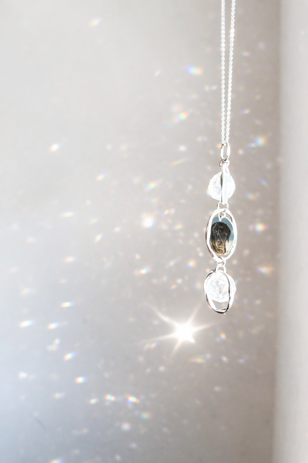Personalised Pet Memorial Suncatcher – Custom Engraved Pet Portrait | Dog Memorial & Pet Loss Gift