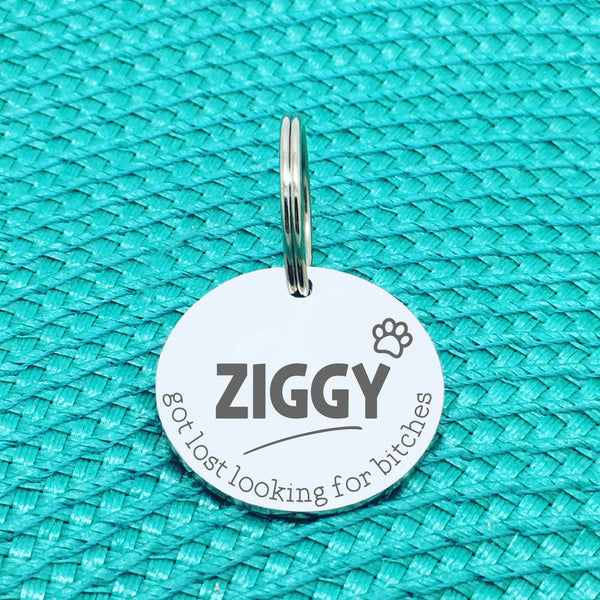 Personalised Pet Tag, 'Ziggy' Got Lost Looking For Bitches Design (Personalised Custom Engraved Dog Tag)