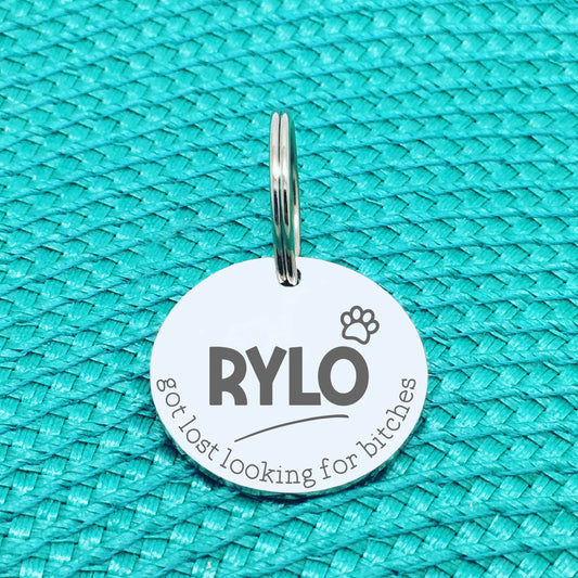 Personalised Pet Tag, 'Ziggy' Got Lost Looking For Bitches Design (Personalised Custom Engraved Dog Tag)