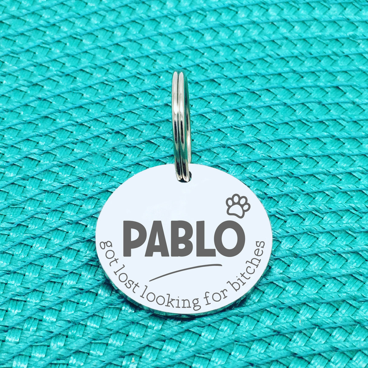 Personalised Pet Tag, 'Ziggy' Got Lost Looking For Bitches Design (Personalised Custom Engraved Dog Tag)