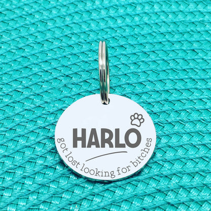 Personalised Pet Tag, 'Ziggy' Got Lost Looking For Bitches Design (Personalised Custom Engraved Dog Tag)