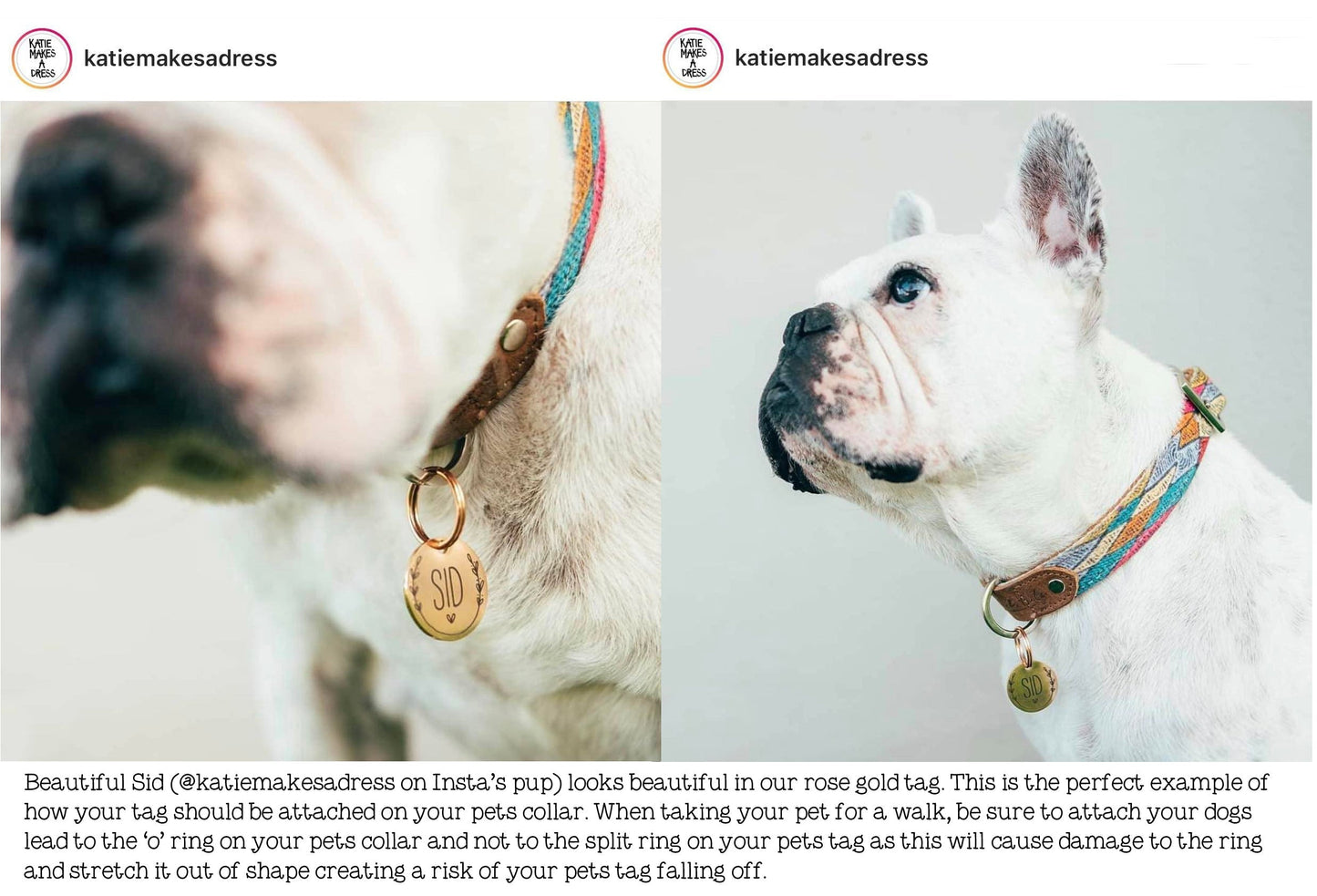 Custom Engraved Double Sided Pet Name Tag (Personalised ID tag) - 'Winnie' I'm lost please call my people design