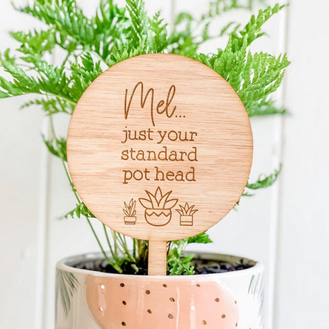 Just Your Standard Pot Head, Personalised Planter Sign, Succulent Design (Personalised Plant Lover Gift)