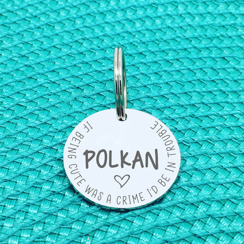 Personalised Pet Tag - If Being Cute Was A Crime I'd Be In Trouble Design (Custom Engraved Silver Dog Tag, Dog Name Tags)