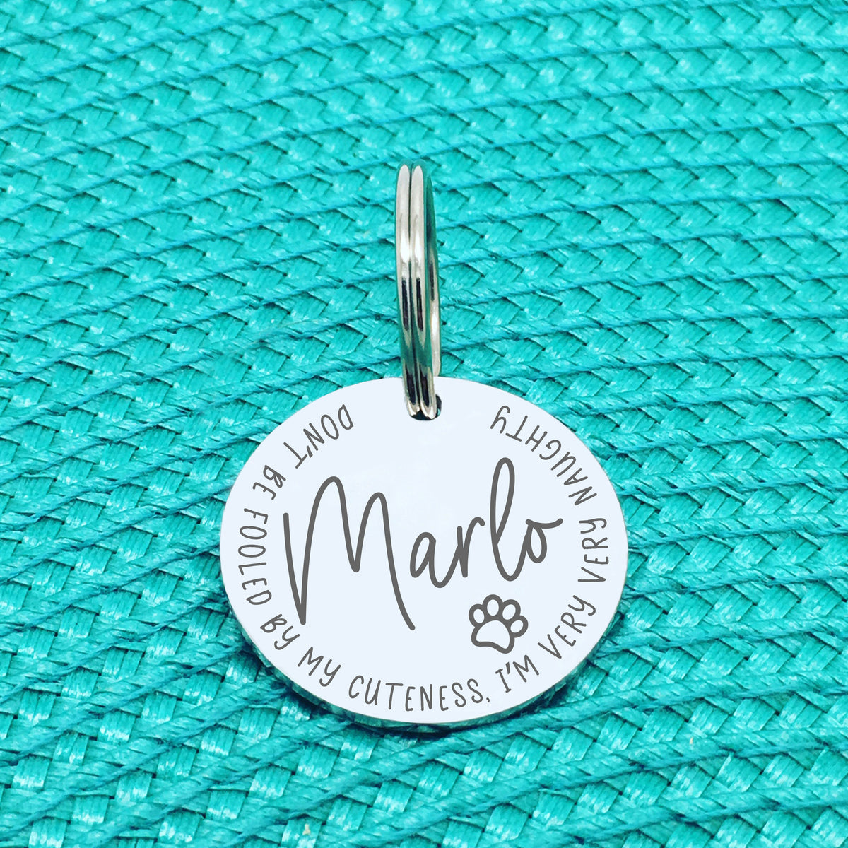Personalised Pet Tag - Don't Be Fooled By My Cuteness I'm Very Very Naughty Design (Custom Engraved Silver Dog Tag, Dog Name Tags)