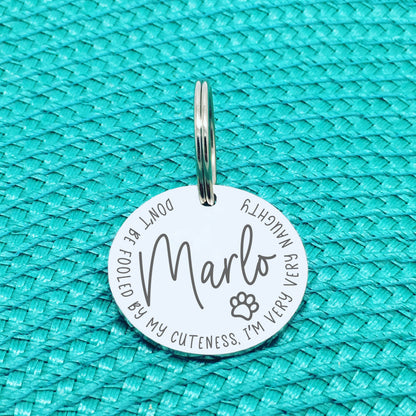 Personalised Pet Tag - Don't Be Fooled By My Cuteness I'm Very Very Naughty Design (Custom Engraved Silver Dog Tag, Dog Name Tags)